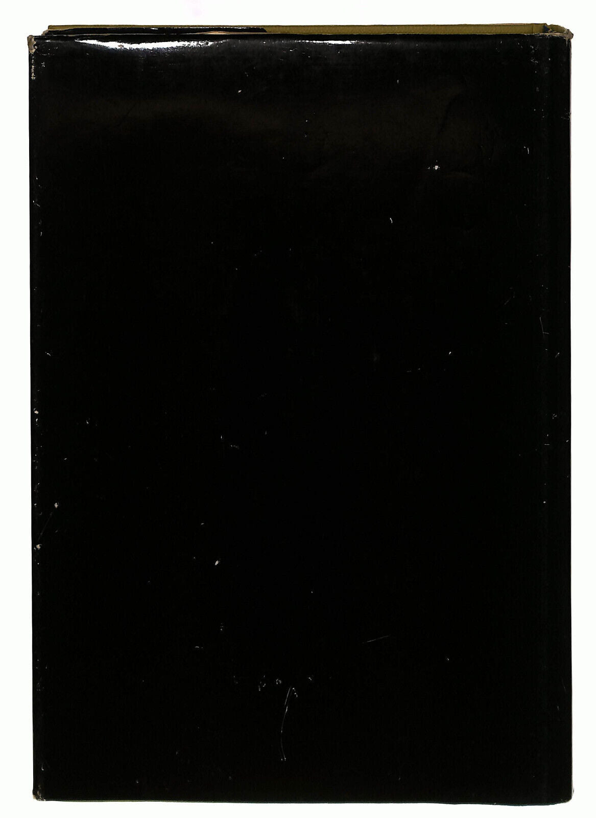 EBOND Amici Di Viaggio Spinelli Libro LI039036