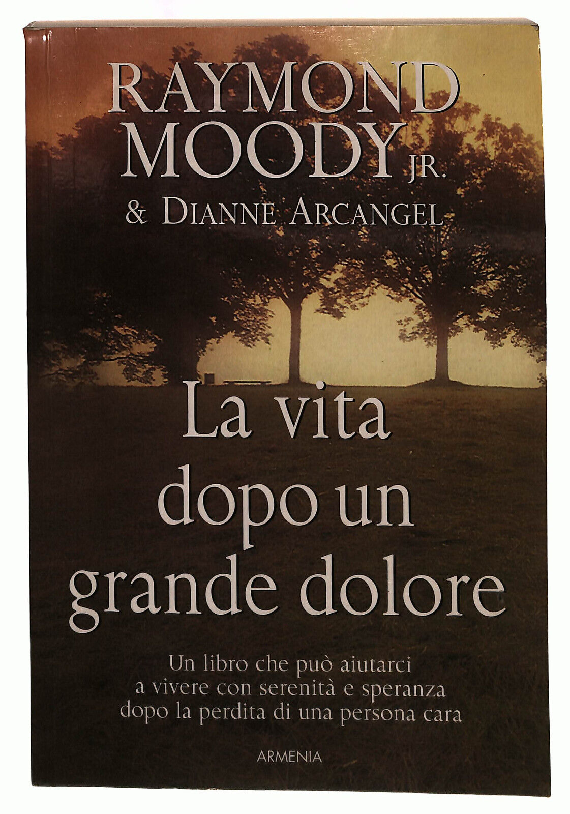 EBOND La Vita Dopo Un Grande Dolore Raymond Moody Armenia Libro LI039188