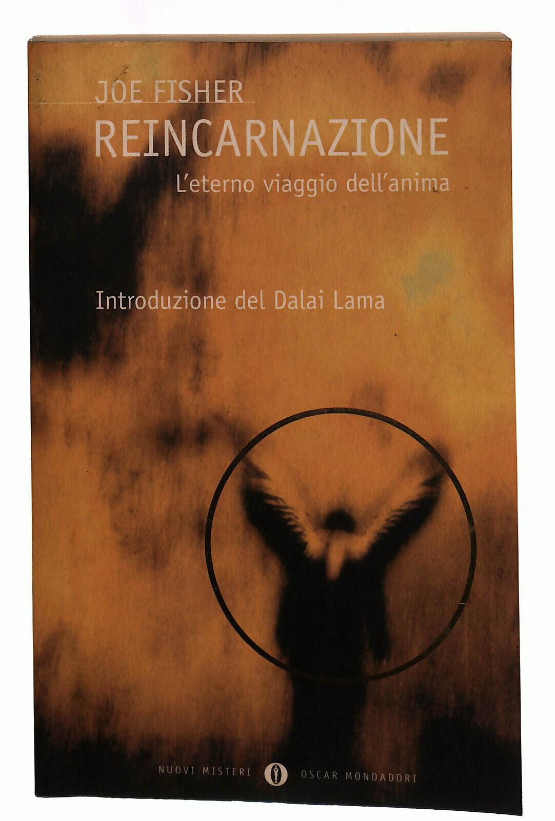 EBOND Reincarnazione Joe Fisher Mondadori Libro LI039508