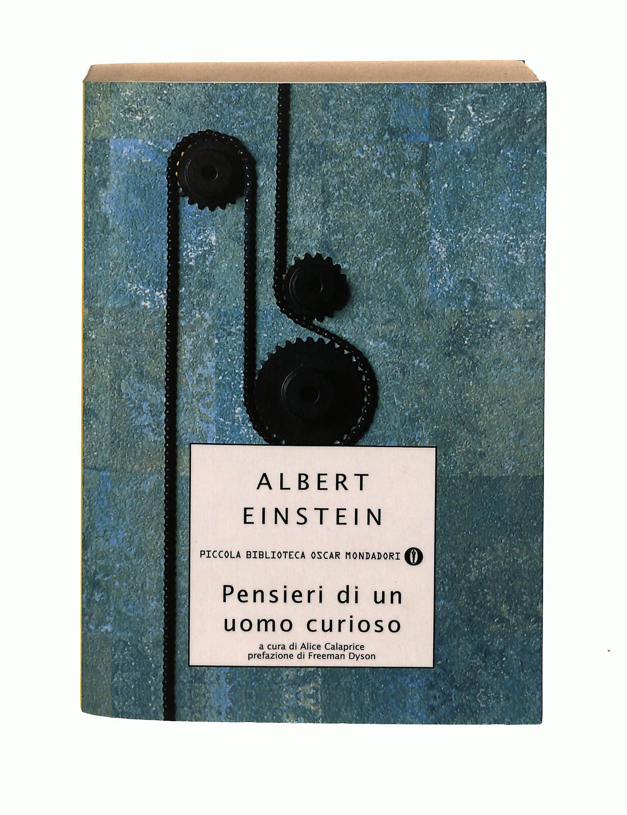EBOND Pensieri Di Un Uomo Curioso Albert Einstein Mondadori Libro LI041027