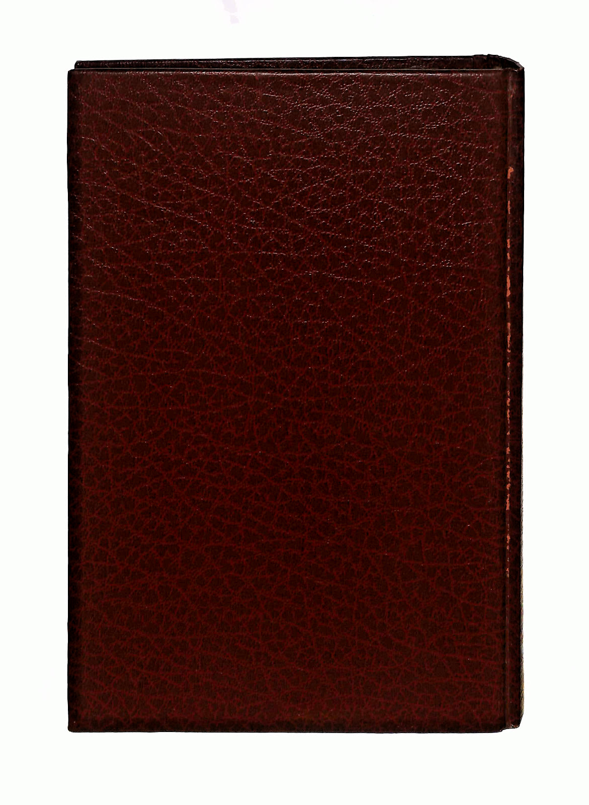 EBOND Domina Anne Tolstoi Wallach Mondadori Libro LI041054