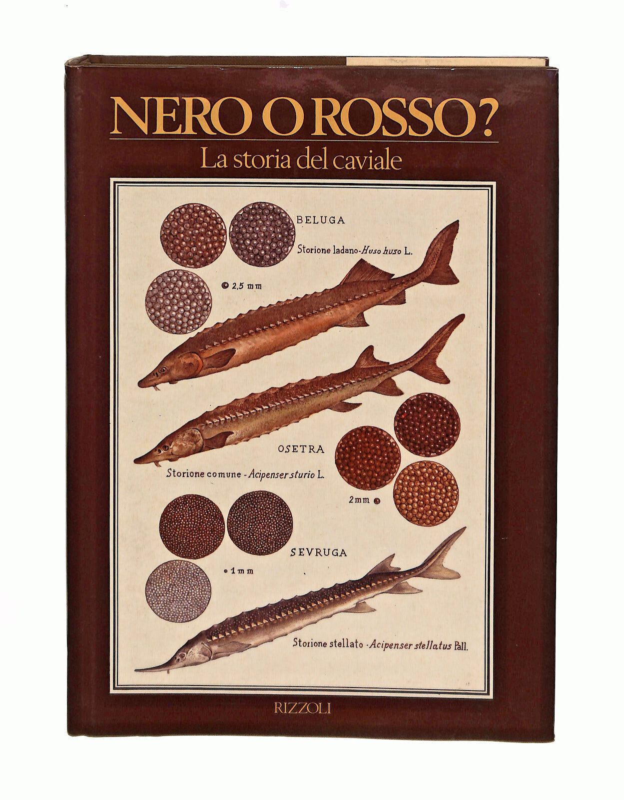 EBOND Nero o Rosso? La Storia Del Caviale Rory Buonassisi Rizzoli Libro LI041134