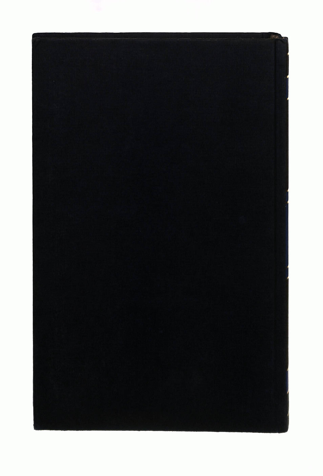 EBOND La Giungla d Asfalto William R Burnette Libro LI042161