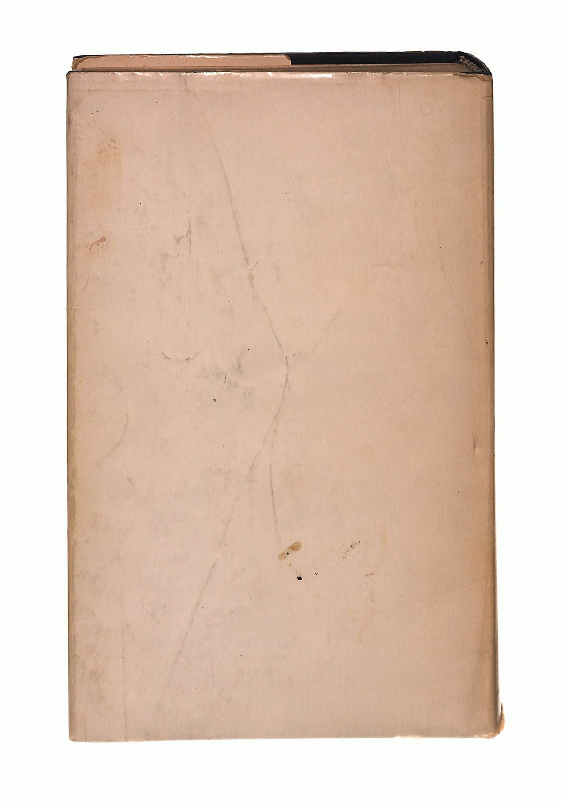 EBOND Torna Coniglio John Updikee Libro LI043408
