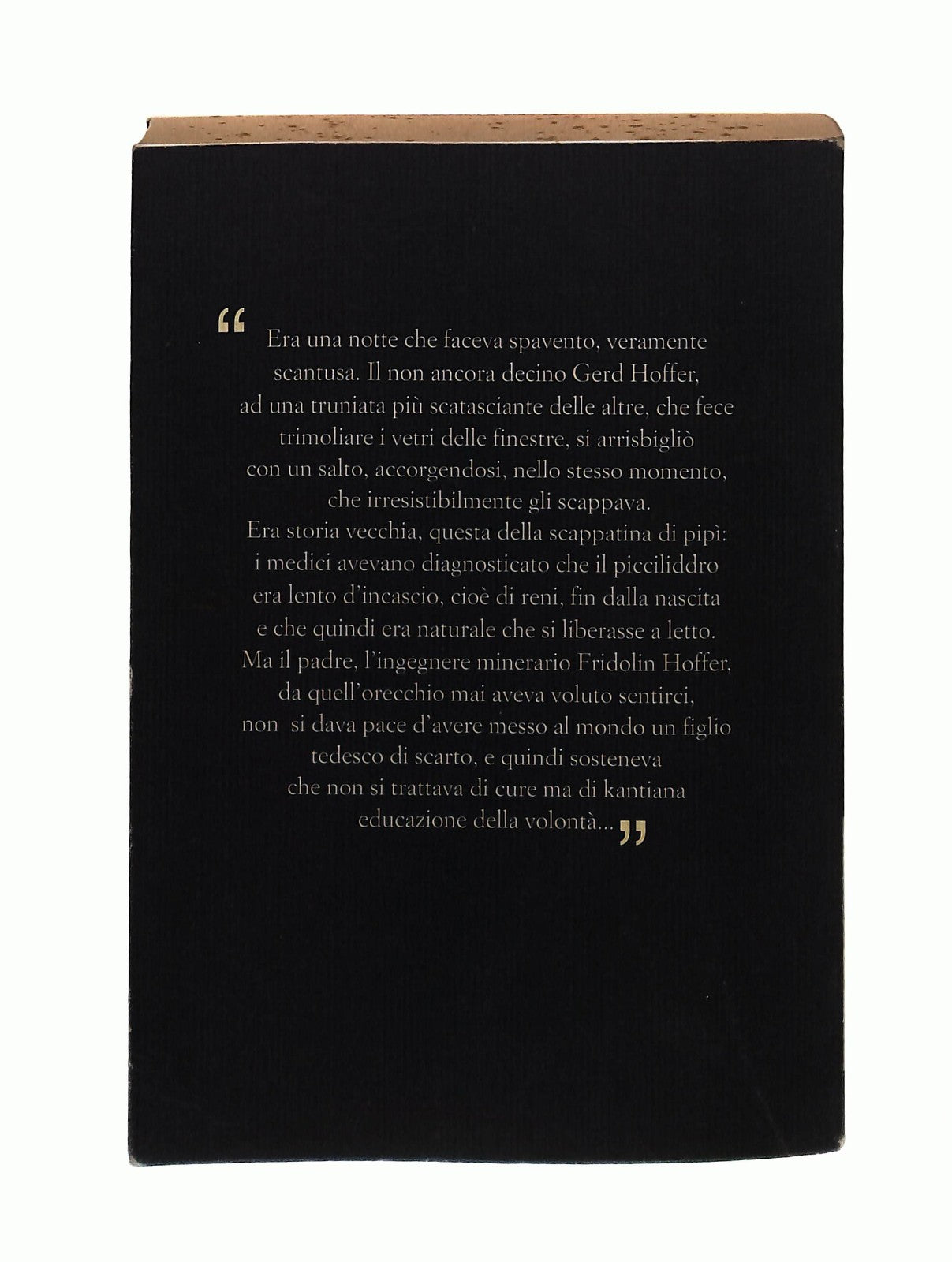 EBOND Il Birraio Di Preston Andrea Camilleri Panorama Sellerio Libro LI044453