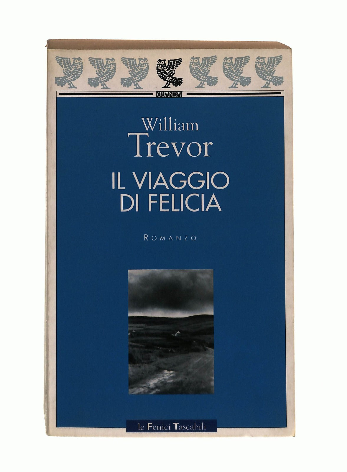EBOND Il Viaggio Di Felicia William Trevor Guanda Libro LI044812