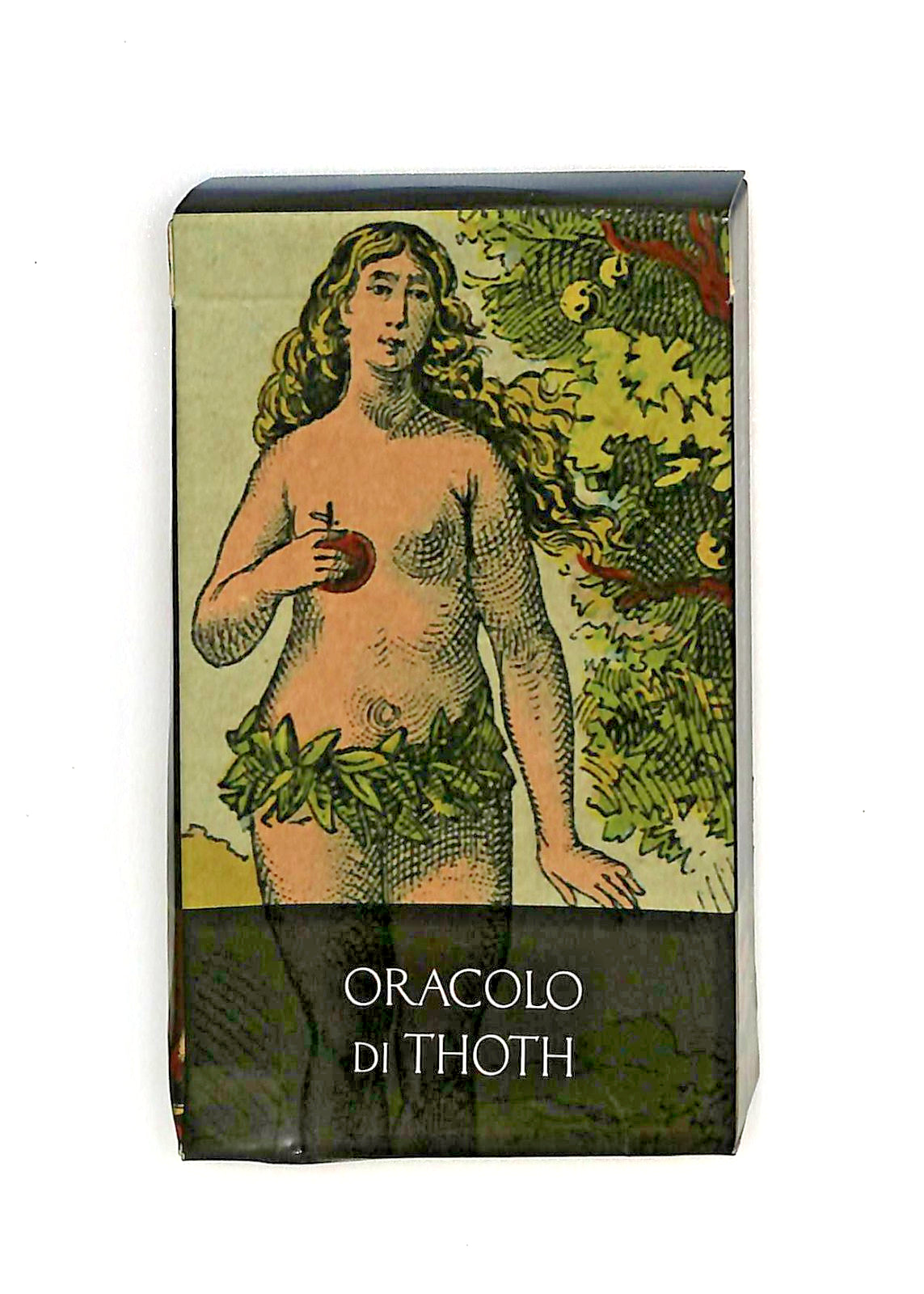 EBOND Oracolo Di Thoth Lo Scarabeo 2004 Tarocco Libro LI045131