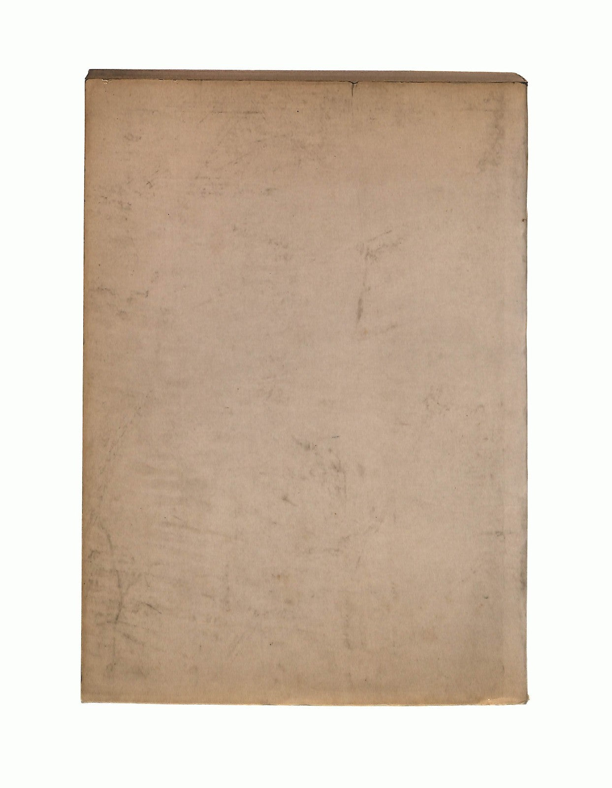 EBOND Nuovi Santi e Animali Domenico Casagrande Cor Unum Libro LI045342