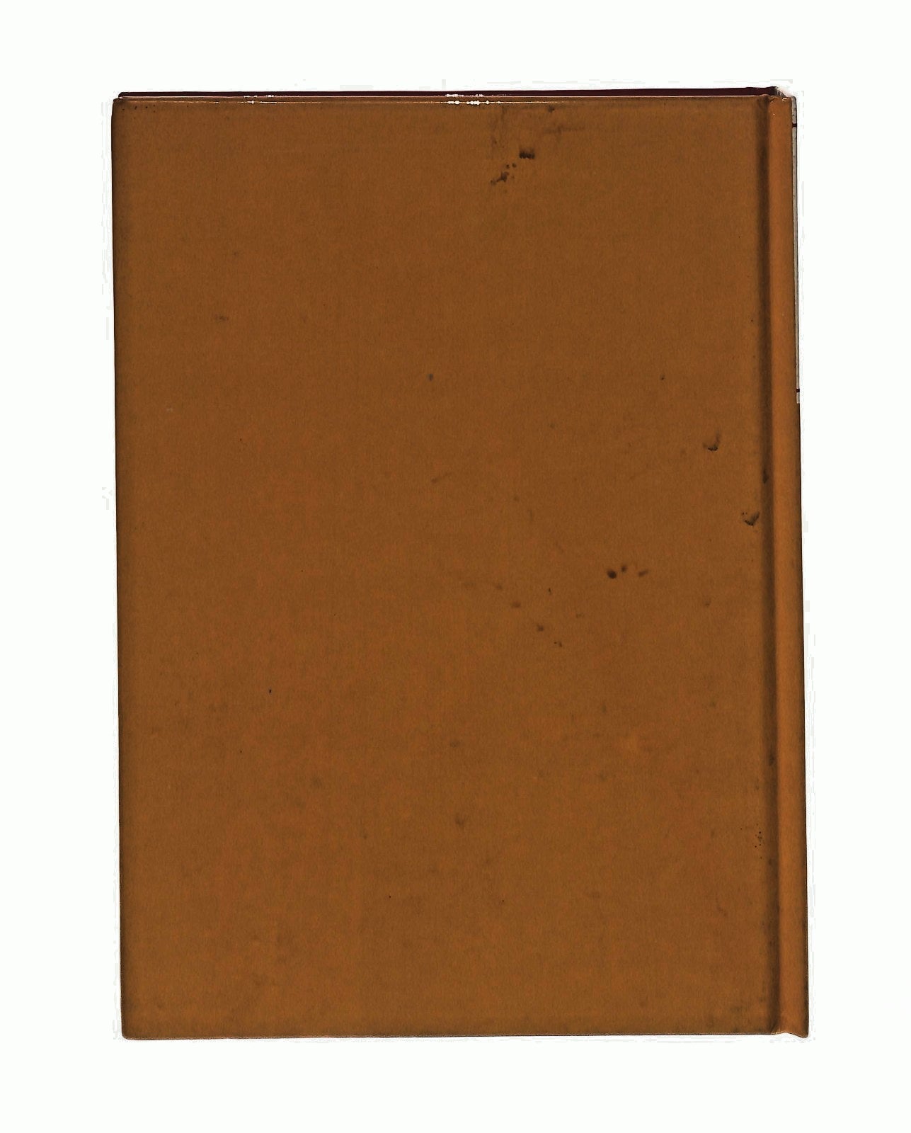 EBOND La Cucina Della Sora Lella Le Mie Pastasciutte Peruzzo 1992 Libro LI045558