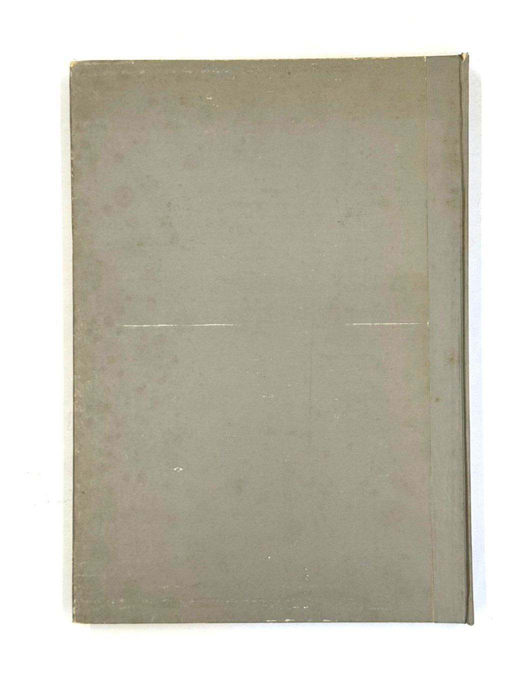 EBOND Il Piccio Disegni Inediti Prima Raccolta Giovanni Carnovali Libro LI045926