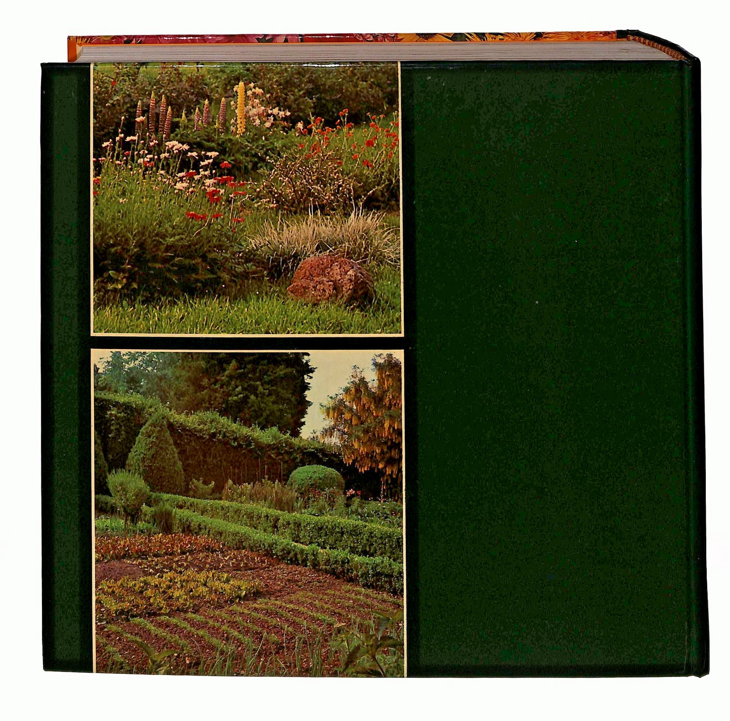 EBOND Giardinaggio Senza Problemi Selezione 1981 Libro LI046078