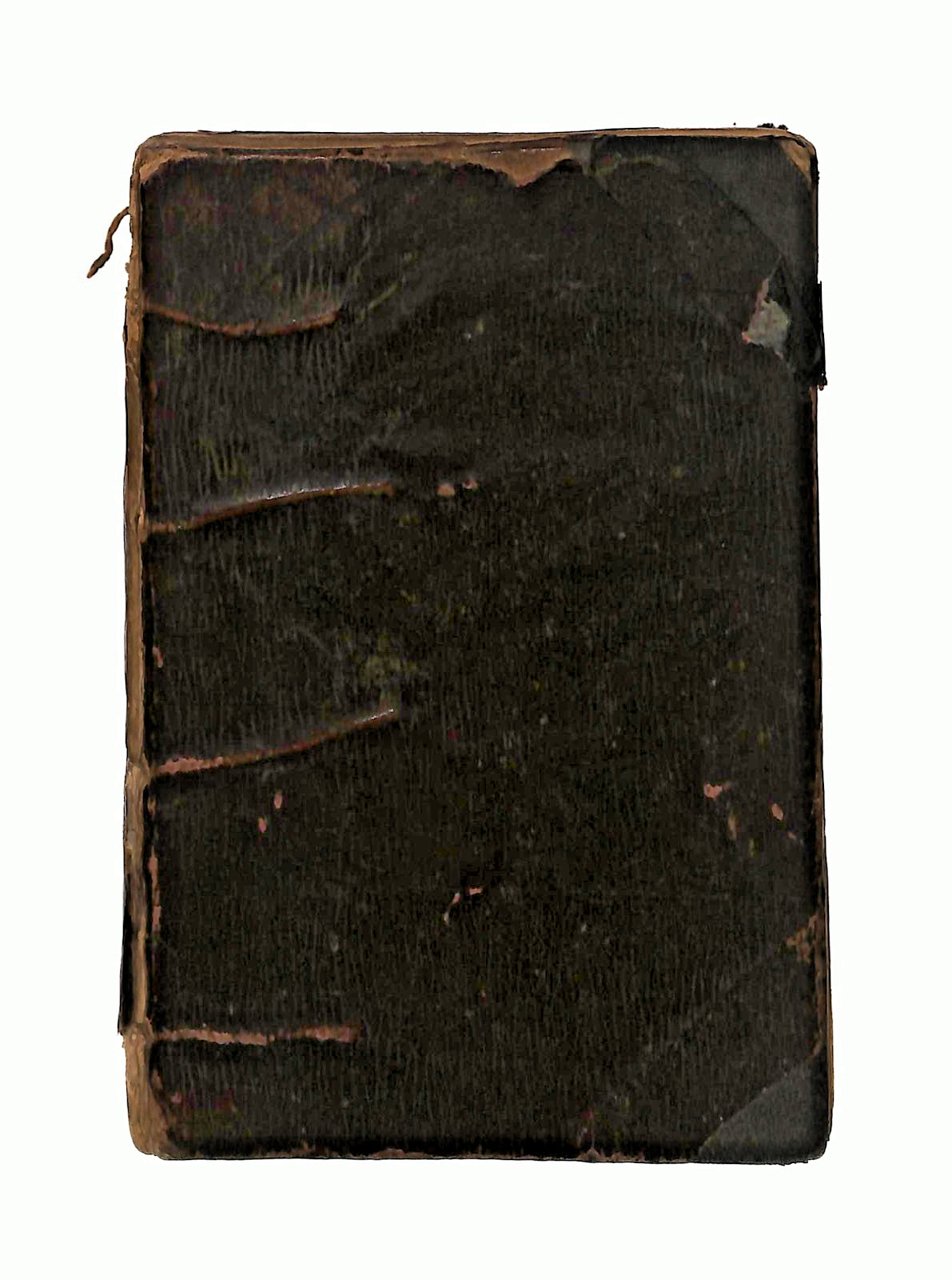 EBOND Raccolta Delle Migliori Romanze Salani 1904 Libretto Libro LI046315