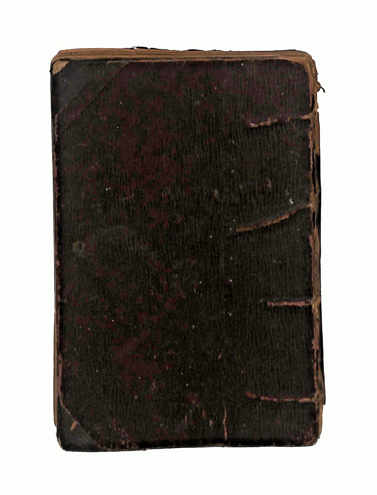 EBOND Raccolta Delle Migliori Romanze Salani 1904 Libretto Libro LI046315