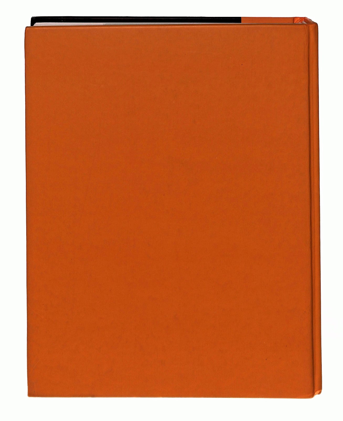 EBOND Bernini Tommaso Montanari L Espresso Libro LI047402