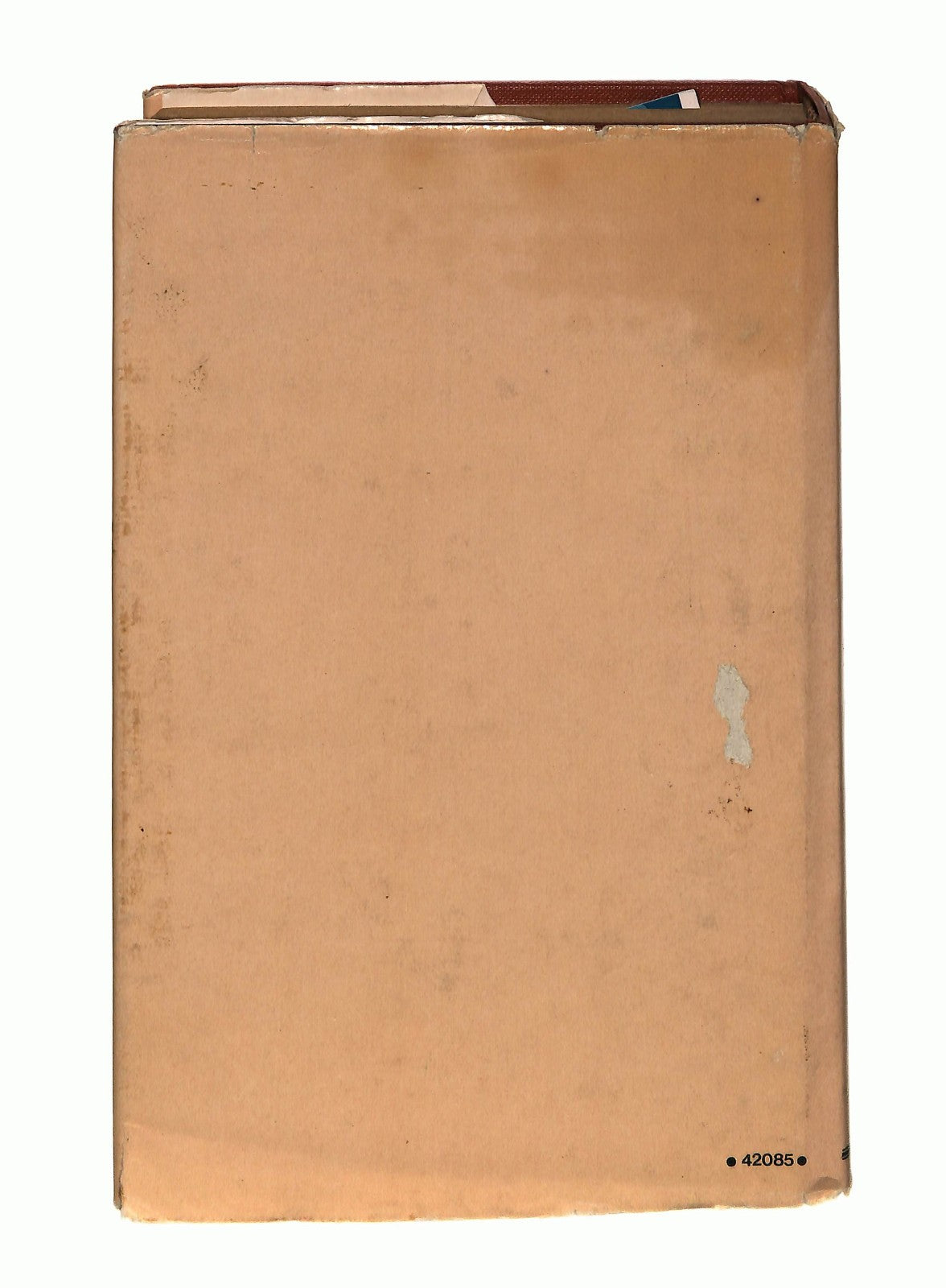 EBOND La Tenera Furia Dell Amore Jennifer Wildee 1985 Libro LI047955