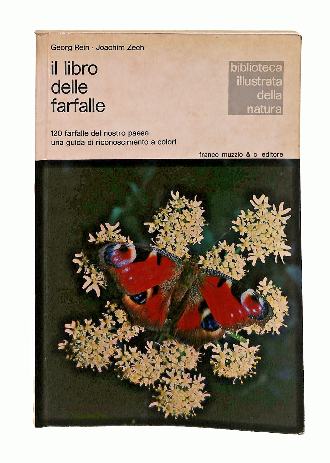 EBOND IlDelle Farfalle Rein Zech Muzzio & C 1975 Libro LI048581