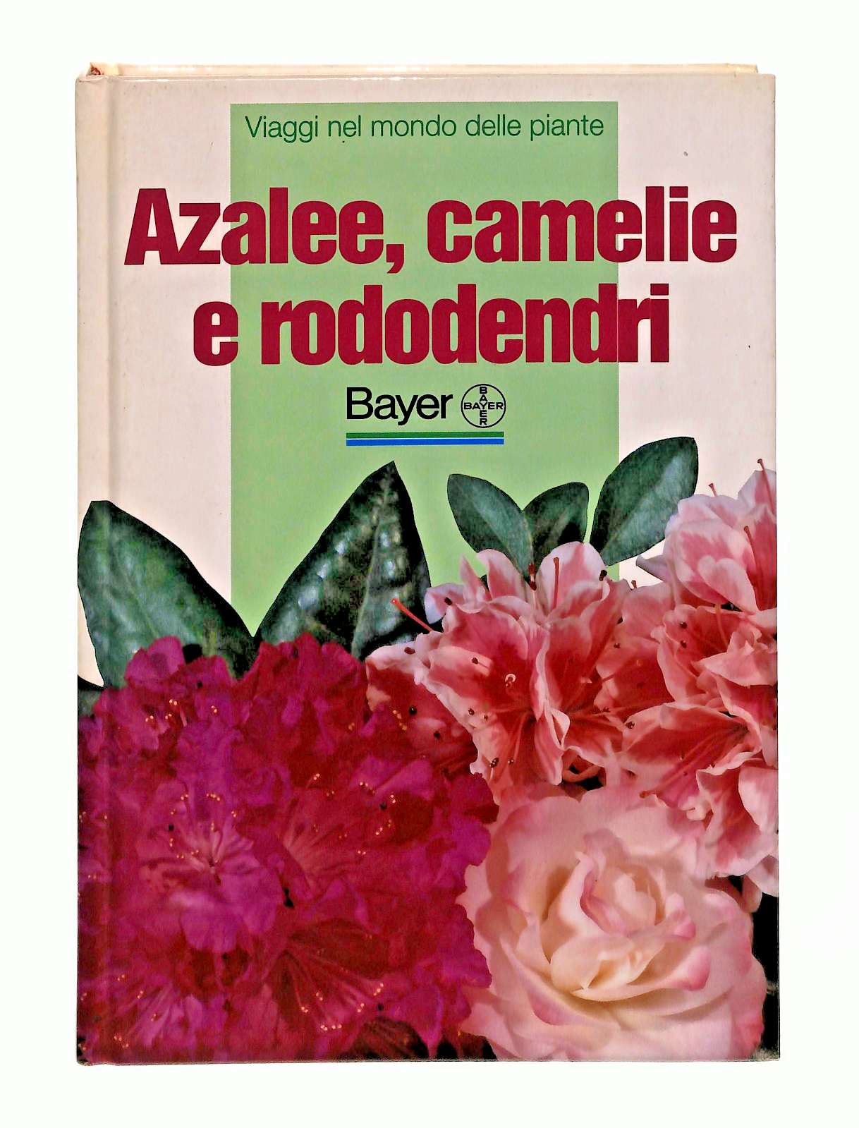 EBOND Azalee Camelie e Rododendri Bayer Libro LI049020