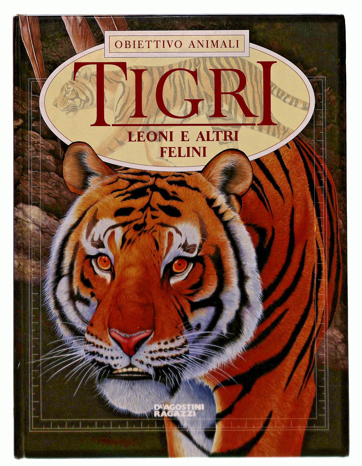 EBOND Tigri Obiettivo Animali Deagostini Ragazzi Libro LI049434