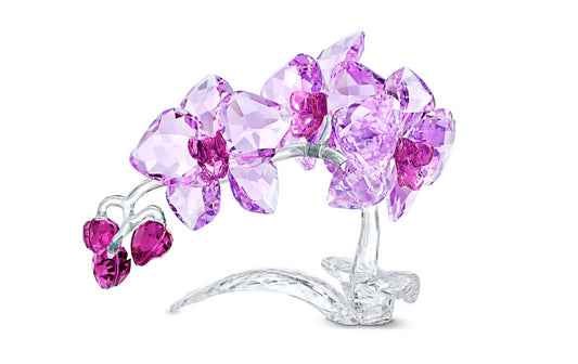 Swarovski 5520373 Orchidea