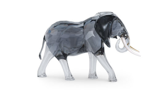 Swarovski 5611302 Elegance of Africa Toro Elefante