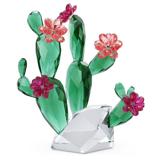 Swarovski 5426805 Crystal Flowers Cactus Rosa Deserto