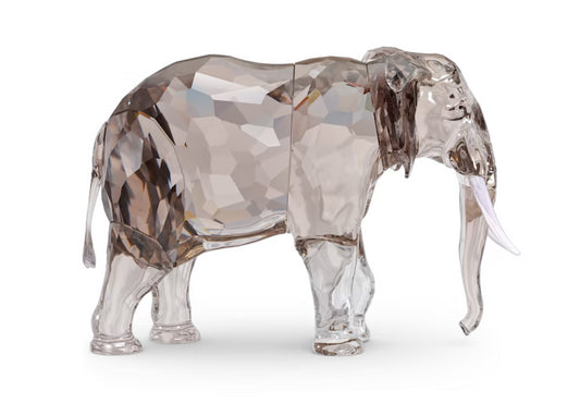 Swarovski 5604555 Elegance of Africa SCS Edizione Annuale 2022 Elefante Fayola