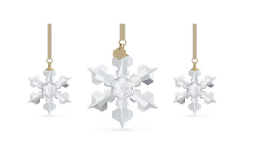 Swarovski 5634889 Annual Edition Set Decorazioni 2022