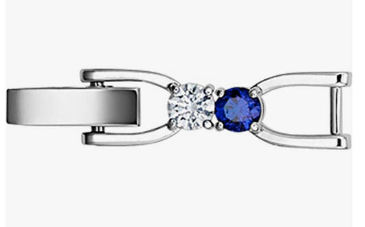 Swarovski 5516889 Extender Matrix EXT Mix CESBD/RHS