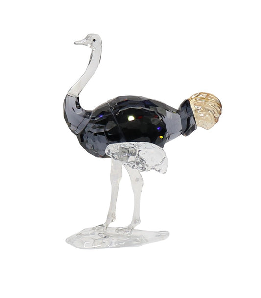 Swarovski 5655682 Elegance of Africa SCS Struzzo Signature Makena Firmata
