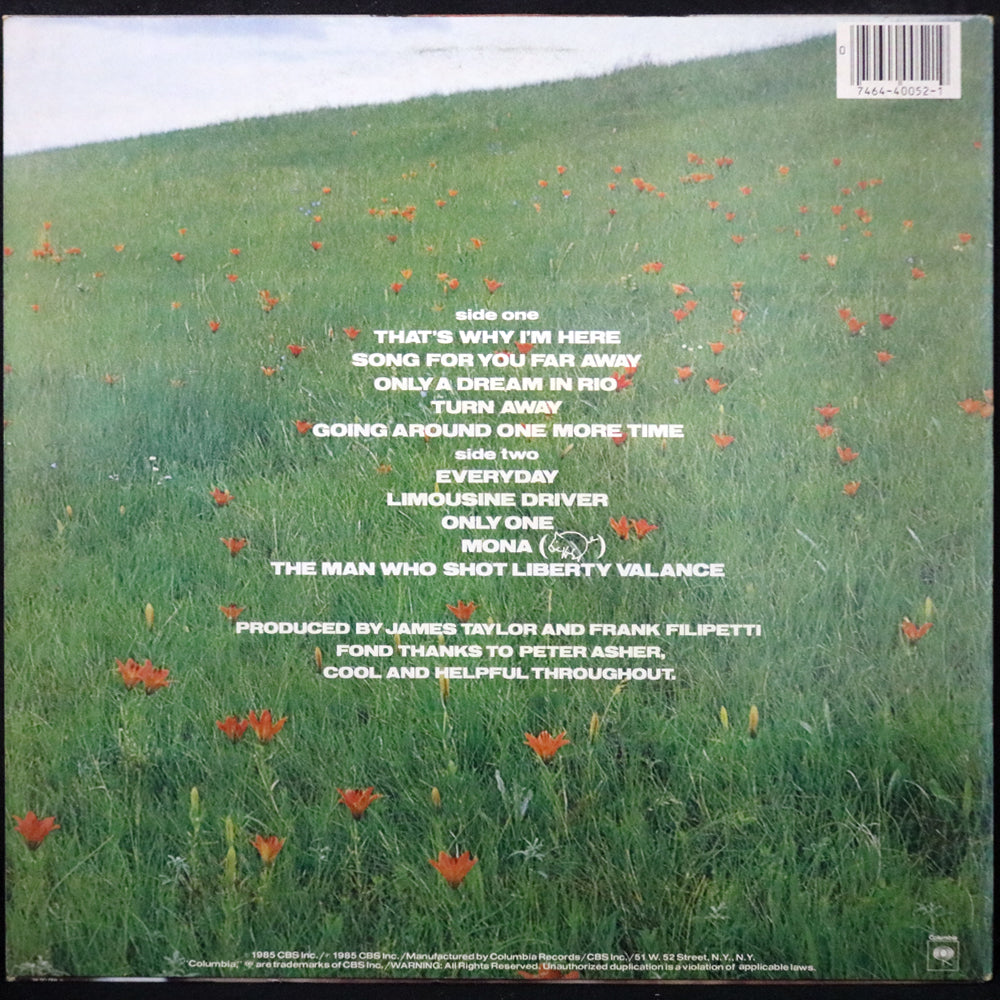 EBOND James Taylor - That's Why I'm Here Vinile V002144