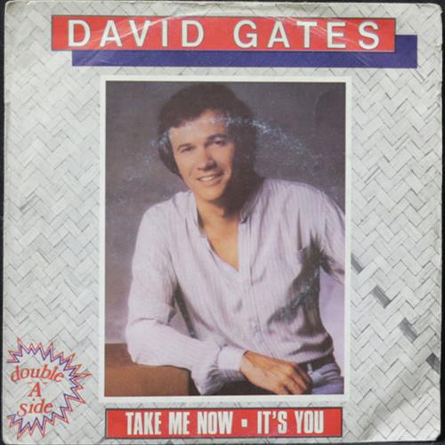 EBOND David Gates - Take Me Now Vinile V010057