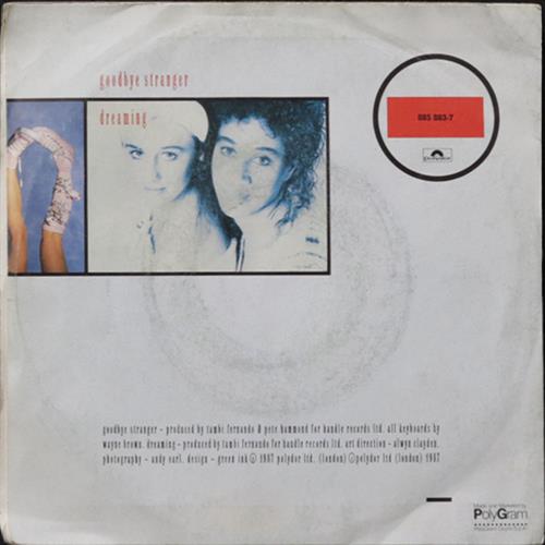EBOND Pepsi & Shirlie - Goodbye Stranger Vinile V010061