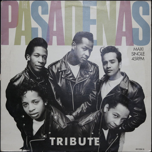 EBOND The Pasadenas - Tribute Vinile V013105