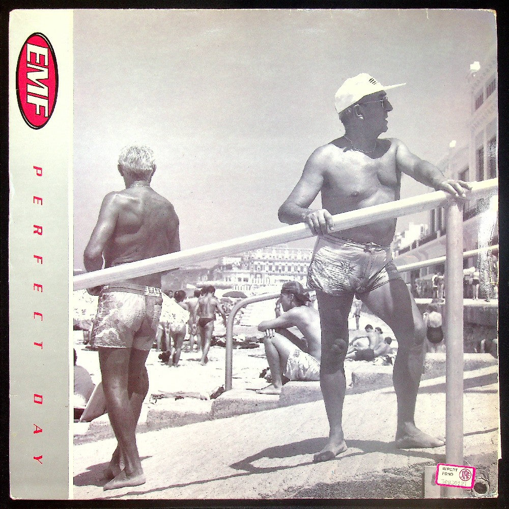 EBOND EMF - Perfect Day Vinile V015112