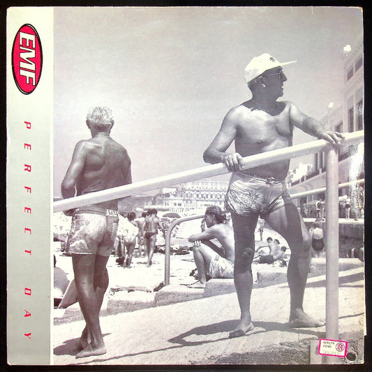 EBOND EMF - Perfect Day Vinile V015112