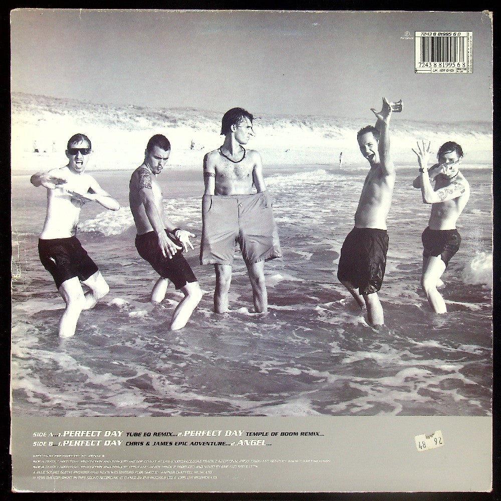 EBOND EMF - Perfect Day Vinile V015112