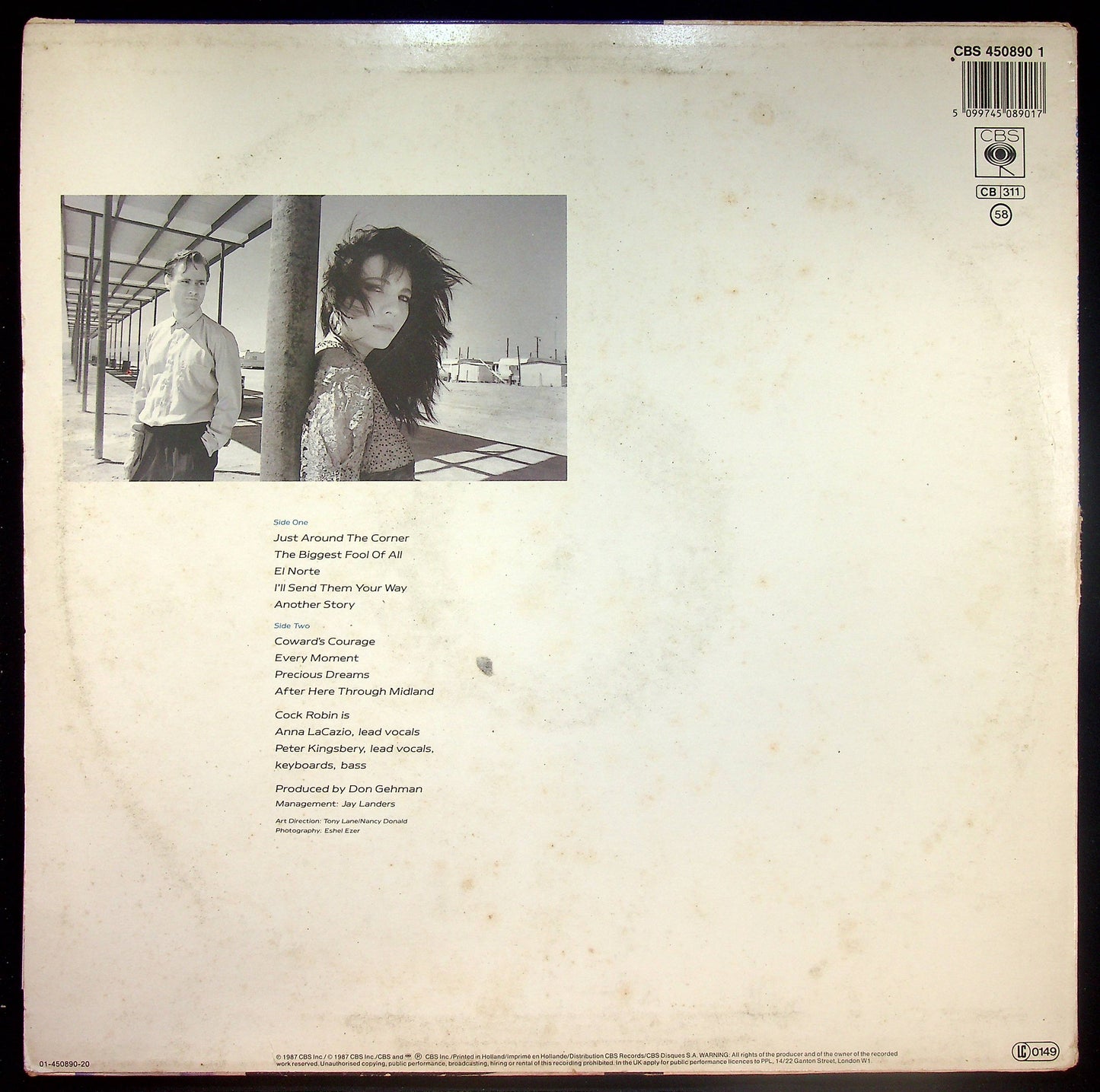 EBOND Cock Robin - After Here Through Midland Vinile V016028