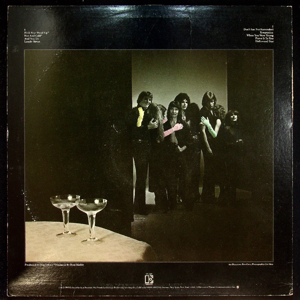 EBOND Marc Tanner Band - Temptation Vinile V016146
