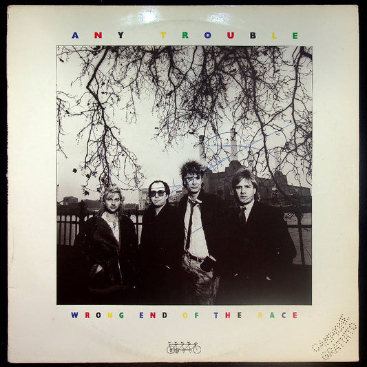 EBOND Any Trouble - Wrong End Of The Race Vinile V016148