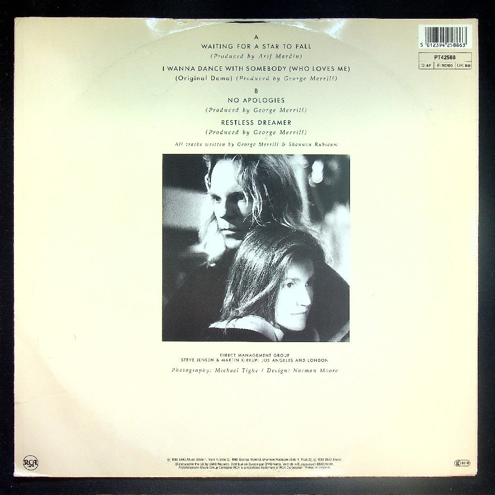 EBOND Boy Meets Girl - Waiting For A Star To Fall Vinile V017148