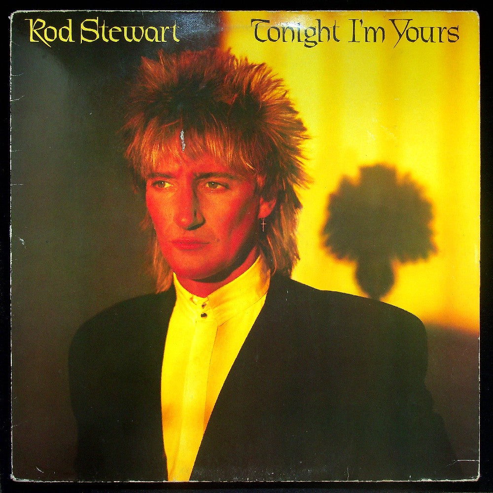 EBOND Rod Stewart - Tonight I'm Yours Vinile V019093