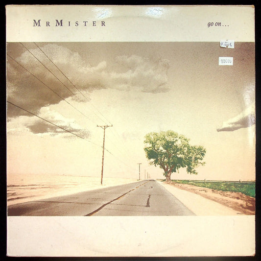 EBOND Mr. Mister - Go On ... Vinile V022038