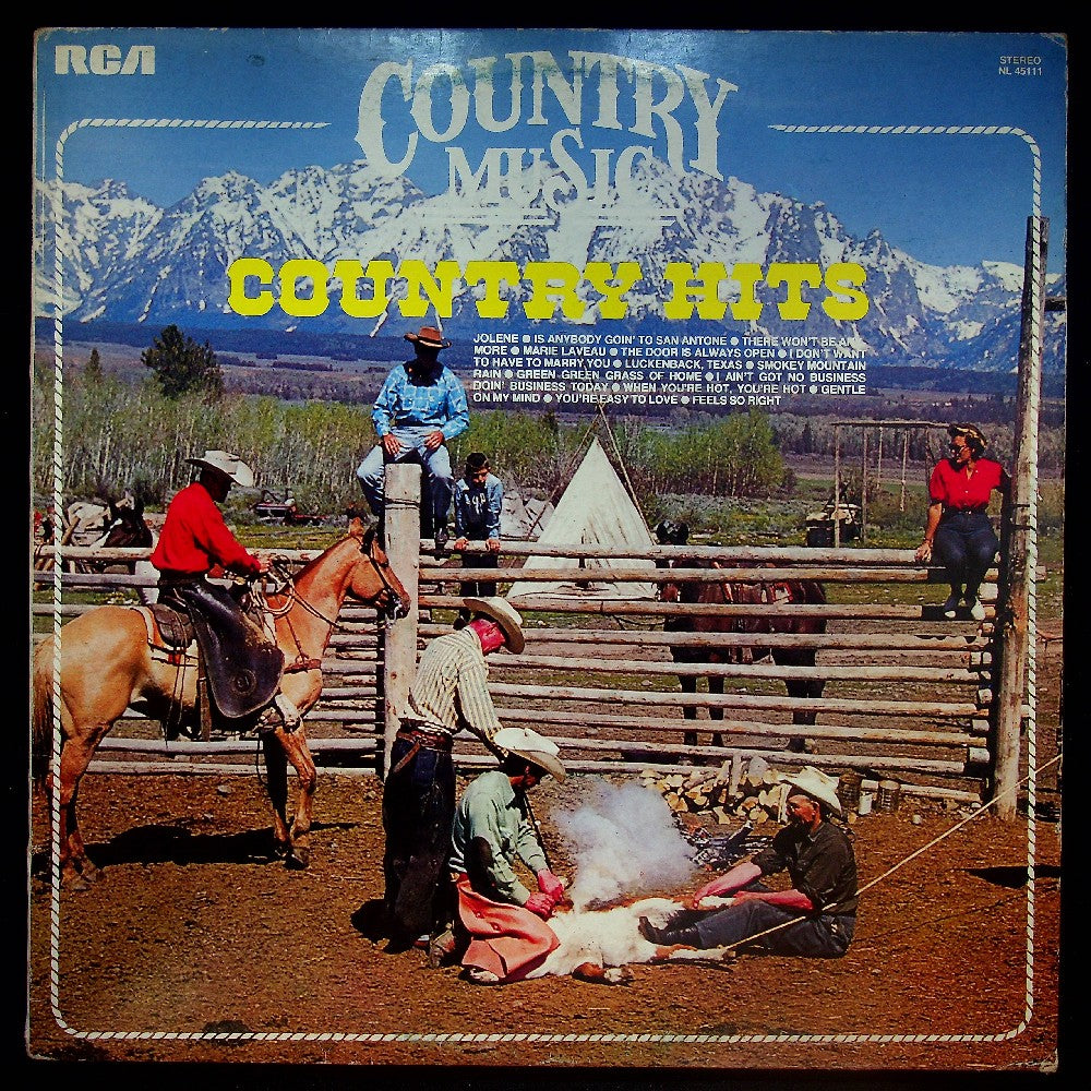 EBOND Various - Country Hits Vinile V024032