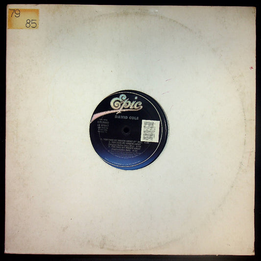 EBOND David Cole - You Take My Breath Away Vinile V025023