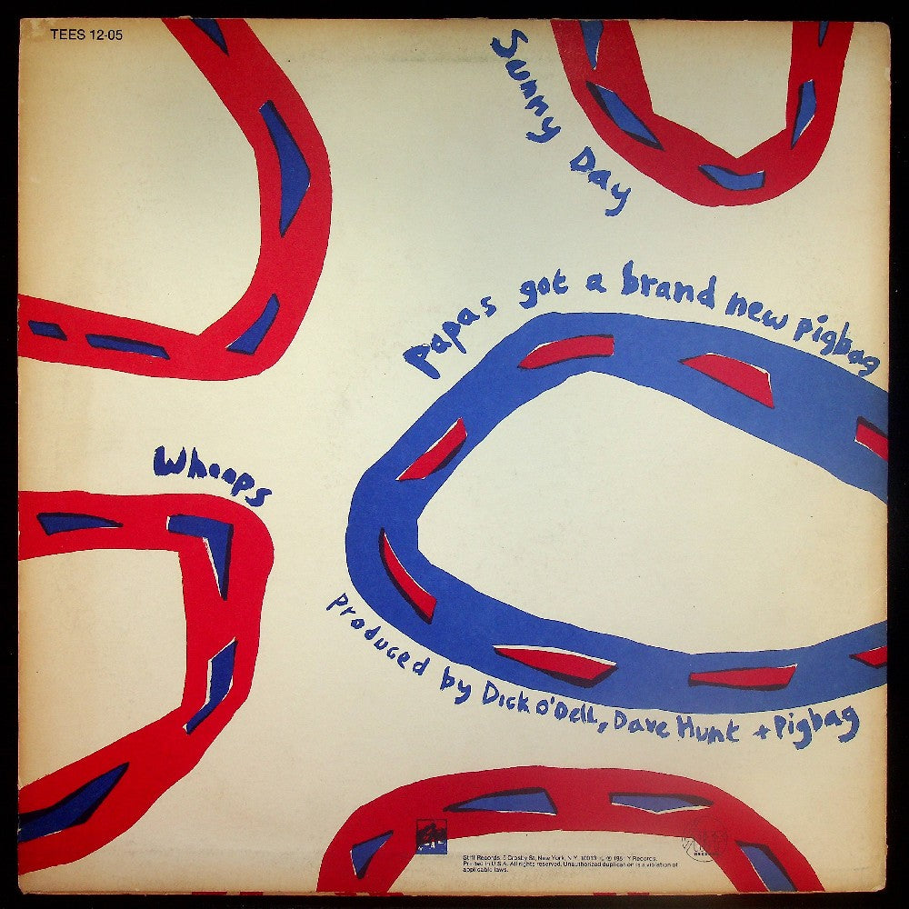 EBOND Pigbag - Sunny Day Vinile V025084