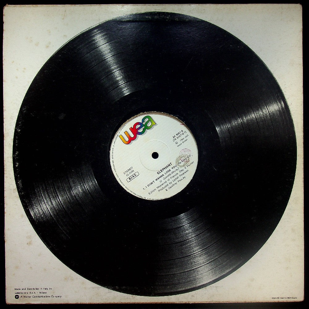 EBOND Elephant - I Don't Wanna Lose You Vinile V026062