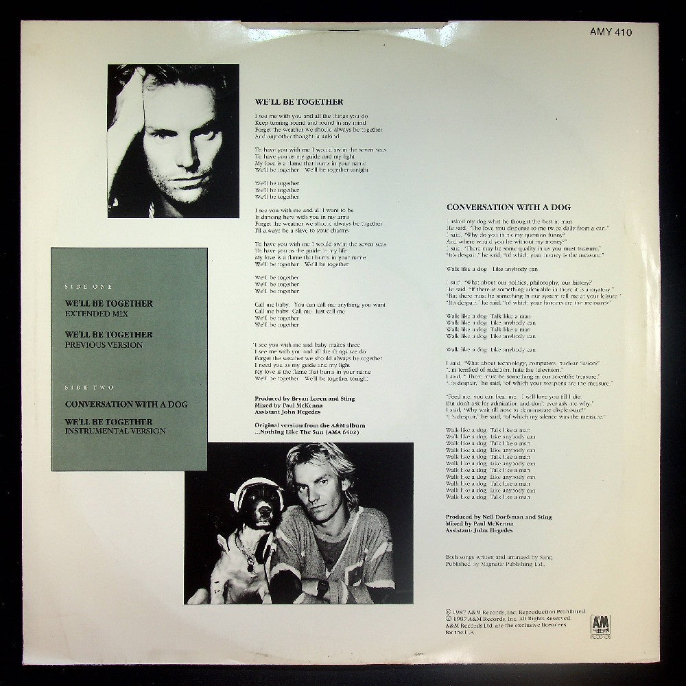 EBOND Sting - We'll Be Together Vinile V027133