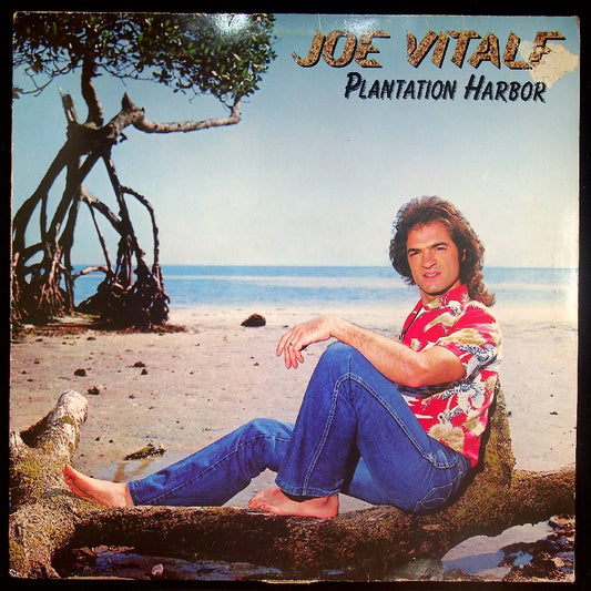EBOND Joe Vitale - Plantation Harbor Vinile V029096