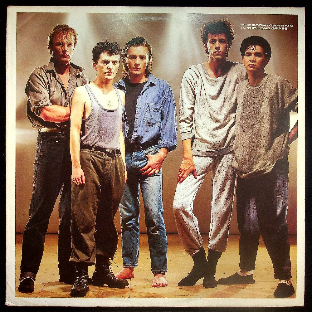 EBOND The Boomtown Rats - In The Long Grass Vinile V029103
