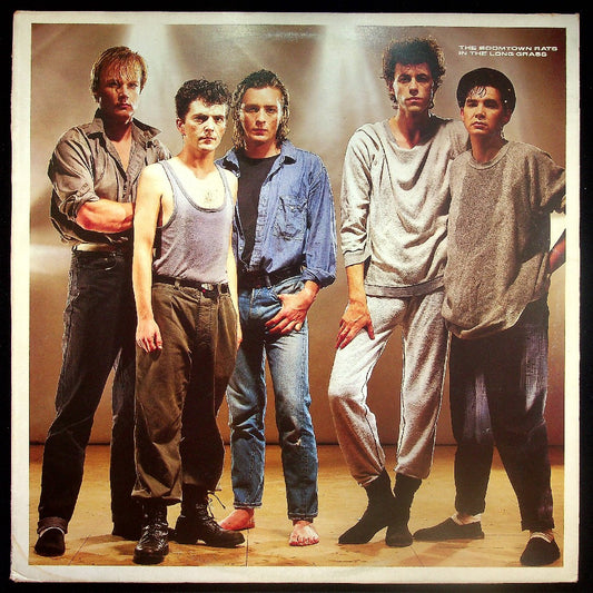 EBOND The Boomtown Rats - In The Long Grass Vinile V029103